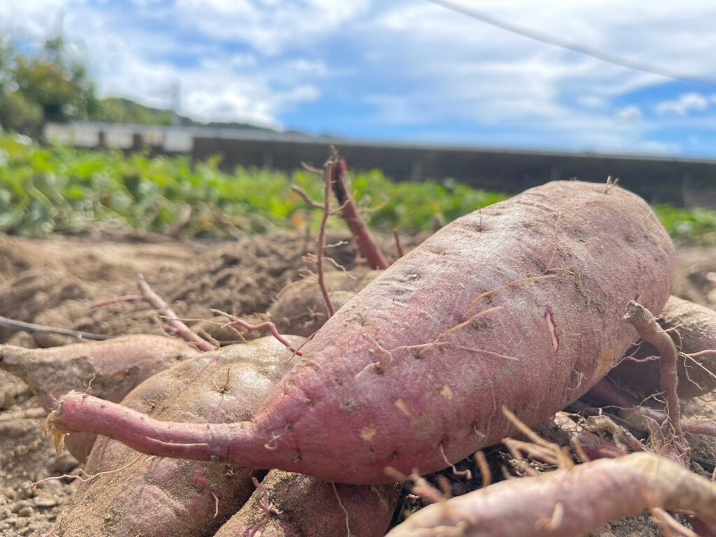 IN　長崎バイオパーク　part2