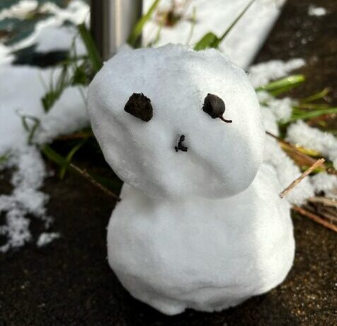 暴風雪警報発令中⛄❗