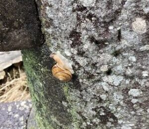 5月も終わりですね・・