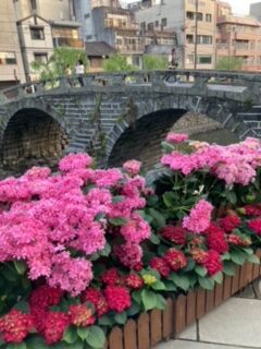 白石さんのぶらり旅🐱✨