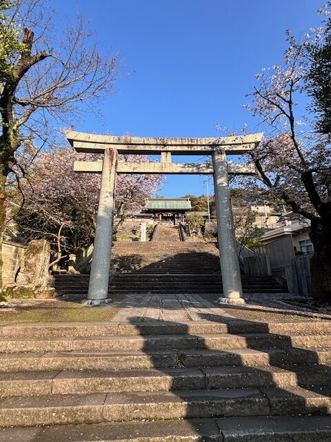 春の訪れと桜便り