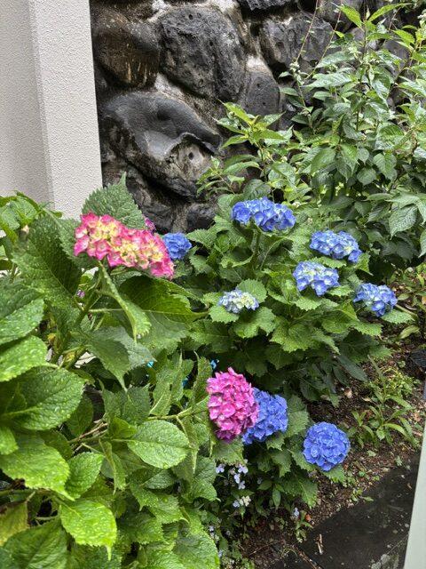 一筋の光明?
