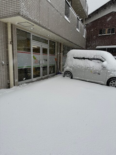 雪国でした(´;ω;`)